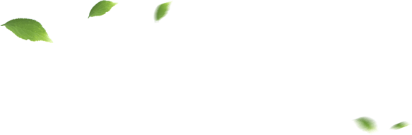 九五至尊VI-老品牌值得信任!